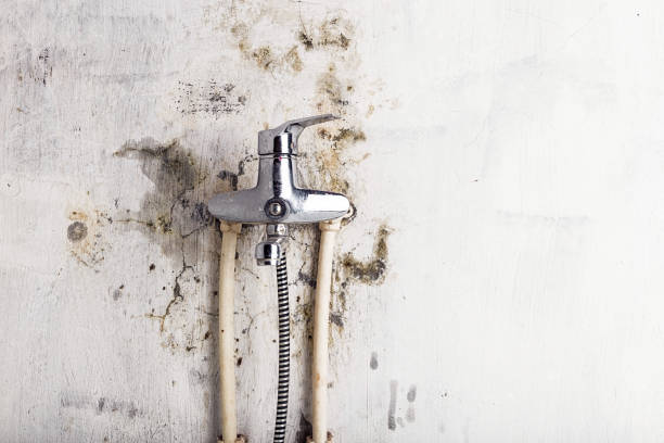 Best Mold Cleaning Services  in Travis Ranch, TX