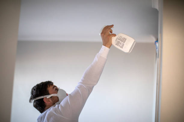 Best Mold Remediation Experts  in Travis Ranch, TX