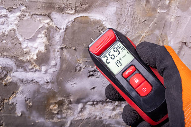 Best Mold Damage Repair  in Travis Ranch, TX
