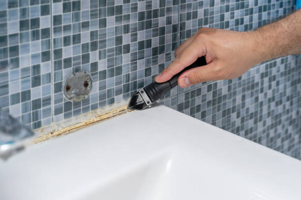 Best Local Mold Removal Service  in Travis Ranch, TX