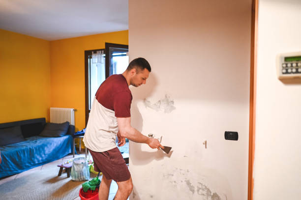 Best Toxic Mold Removal  in Travis Ranch, TX